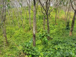  Grundstück zu verkaufen in Takua Thung, Phangnga, Lo Yung