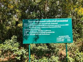  Land for sale in Krabi, Khlong Prasong, Mueang Krabi, Krabi