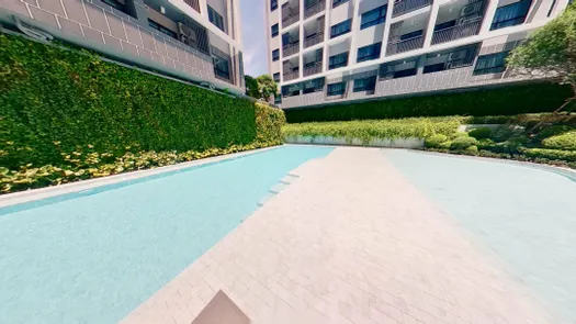 3D Walkthrough of the Communal Pool at Dusit D2 Residences