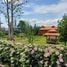 Land for sale at Khao Loi Resort, Phaya Yen, Pak Chong, Nakhon Ratchasima