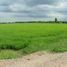  Land for sale in Nakhon Pathom, Bang Pla, Bang Len, Nakhon Pathom