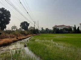  Grundstück zu verkaufen in Lat Lum Kaeo, Pathum Thani, Rahaeng