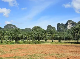  Grundstück zu verkaufen in Mueang Krabi, Krabi, Nong Thale, Mueang Krabi