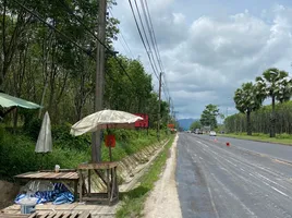  Grundstück zu verkaufen in Thalang, Phuket, Thep Krasattri