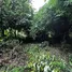 ขายที่ดิน ใน หนองยาว, สระบุรี, หนองยาว, เมืองสระบุรี, สระบุรี