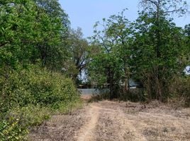  Land for sale in Wang Nam Sap, Si Prachan, Wang Nam Sap