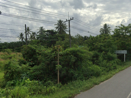  Grundstück zu verkaufen in Sichon, Nakhon Si Thammarat, Sichon