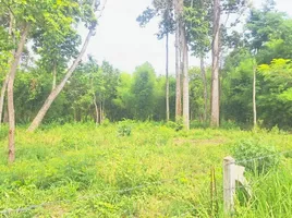  Land for sale in Si Sa Ket, Dun, Kanthararom, Si Sa Ket
