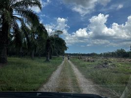  Grundstück zu verkaufen in Chaloem Phra Kiat, Nakhon Si Thammarat, Suan Luang, Chaloem Phra Kiat