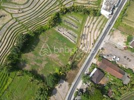  Grundstück zu verkaufen in Tabanan, Bali, Kediri, Tabanan