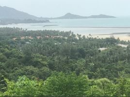  Grundstück zu verkaufen in Koh Samui, Surat Thani, Maret