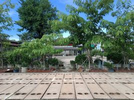 4 Schlafzimmer Haus zu vermieten in Mueang Uthai Thani, Uthai Thani, Uthai Mai, Mueang Uthai Thani