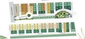 Master Plan of Sena Ville Lumlukka-Khlong 6