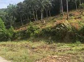  Land for sale in Maenam, Koh Samui, Maenam