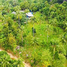  Land for sale in Koh Phangan, Surat Thani, Ban Tai, Koh Phangan