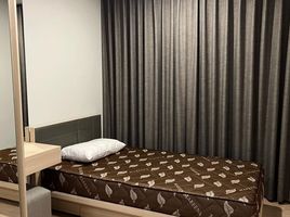 2 Bedroom Condo for rent at Ideo O2, Bang Na