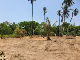  Land for sale in Nai Yang Beach, Sakhu, Mai Khao