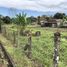  Land for sale in Siquirres, Limon, Siquirres