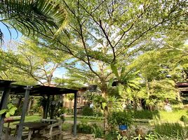 8 Bedroom Villa for rent at Leafy Greens , Chang Phueak, Mueang Chiang Mai, Chiang Mai