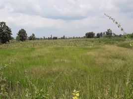  Land for sale in Bo Rang, Wichian Buri, Bo Rang