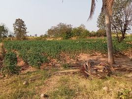  Land for sale in Sap Yai, Chaiyaphum, Sap Yai, Sap Yai