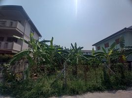  Land for sale in Cozy Beach, Nong Prue, Nong Prue