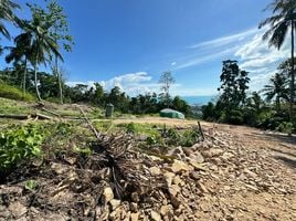  Grundstück zu verkaufen in Koh Samui, Surat Thani, Ang Thong
