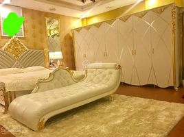 4 Schlafzimmer Villa zu verkaufen in Tan Phu, Ho Chi Minh City, Tay Thanh