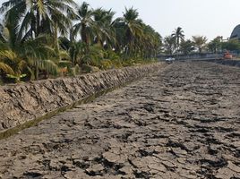  Grundstück zu verkaufen in Sam Phran, Nakhon Pathom, Khlong Mai