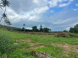  Land for sale in Big Budhha Beach, Bo Phut, Bo Phut