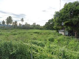  Grundstück zu verkaufen in Sam Roi Yot, Prachuap Khiri Khan, Sam Roi Yot, Sam Roi Yot