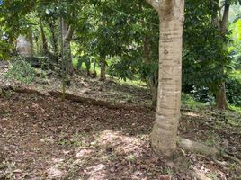  Land for sale in Kata Beach, Karon, Karon