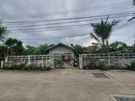  Land for sale in The Chilled Shopping Mall, Nong Prue, Nong Prue
