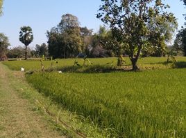  Land for sale in Kantharawichai, Maha Sarakham, Khwao Yai, Kantharawichai