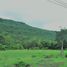  Land for sale in Khon Kaen, Phu Wiang, Phu Wiang, Khon Kaen