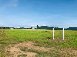  Land for sale at The Nature Petchaboon, Yang Ngam, Nong Phai