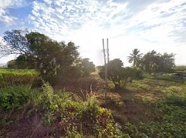  Land for sale in Sathan, Chiang Khong, Sathan