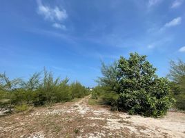  Land for sale in Thailand, Khok Kloi, Takua Thung, Phangnga, Thailand