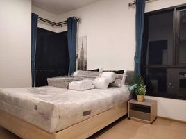 2 Schlafzimmer Wohnung zu vermieten im The Tree Sukhumvit 71-Ekamai, Suan Luang