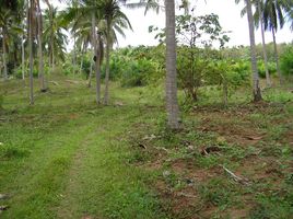  Land for sale in Ang Thong, Thap Sakae, Ang Thong