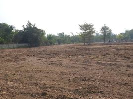  Land for sale in San Pa Tong, Chiang Mai, Yu Wa, San Pa Tong