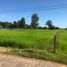  Land for sale in Surin, Samrong, Mueang Surin, Surin