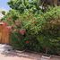 4 Bedroom House for sale in Tetouan Tanger Tetouan, Na Martil, Tetouan, Tanger Tetouan