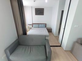 1 Schlafzimmer Wohnung zu vermieten im Zcape I, Choeng Thale, Thalang, Phuket