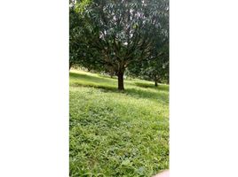  Land for sale in Costa Rica, Atenas, Alajuela, Costa Rica