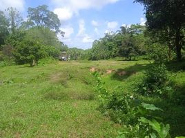  Land for sale in Si Sunthon, Thalang, Si Sunthon