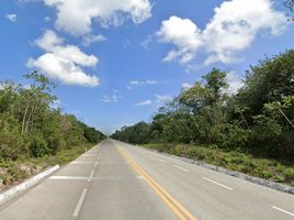  Land for sale in Cozumel, Quintana Roo, Cozumel