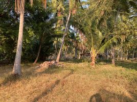  Land for sale in Prachuap Khiri Khan, Saeng Arun, Thap Sakae, Prachuap Khiri Khan