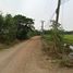  Grundstück zu verkaufen in Mae Rim, Chiang Mai, Mueang Kaeo, Mae Rim