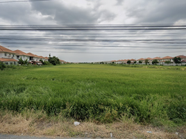  Grundstück zu verkaufen in Nong Chok, Bangkok, Lam Phak Chi